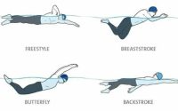 Классификация и особенности стилей плавания